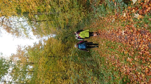 Motion i naturen